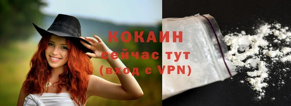 mdpv Богородицк