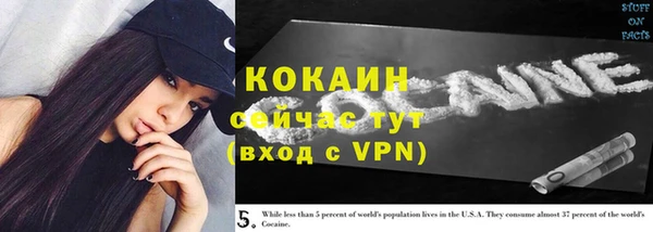 mdpv Богородицк