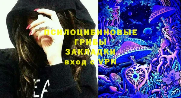 a pvp Богородск